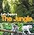 Let's Explore the Jungle: Wildlife Books for Kids (Animal Encyclopedia For Children)