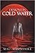 Demons in Cold Water by Mac Muzvimwe