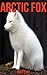 Arctic Fox: Children Book of Fun Facts & Amazing Photos on Animals in Nature - A Wonderful Arctic Fox Book for Kids aged 3-7