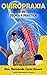 QUIROPRAXIA: Teoría y Práctica (Spanish Edition)