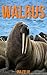 Walrus: Children Book of Fun Facts & Amazing Photos on Animals in Nature - A Wonderful Walrus Book for Kids aged 3-7