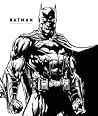 Batman by Matthew K.   Manning
