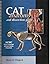 Cat Anatomy and Dissection ...