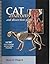 Cat Anatomy and Dissection Guide