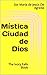 Mística Ciudad de Dios. TOMO I (Spanish Edition)