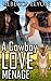 A Cowboy Love Menage by Rebecca Elyon
