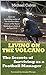 Living on the Volcano: The Secrets of Surviving as a Football Manager