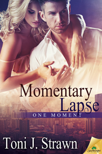 Momentary Lapse (One Moment #2)