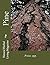 Pine: Pinus spp. (Natural H...