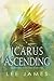 Icarus Ascending (LA Private Detectives, #1)