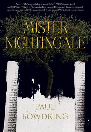 Mister Nightingale (Paperback)