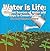 Water is Life: Different Sources of Water and Ways to Conserve Them (For Early Science Learners): Nature Book for Kids - Earth Sciences (Children's Water Books)