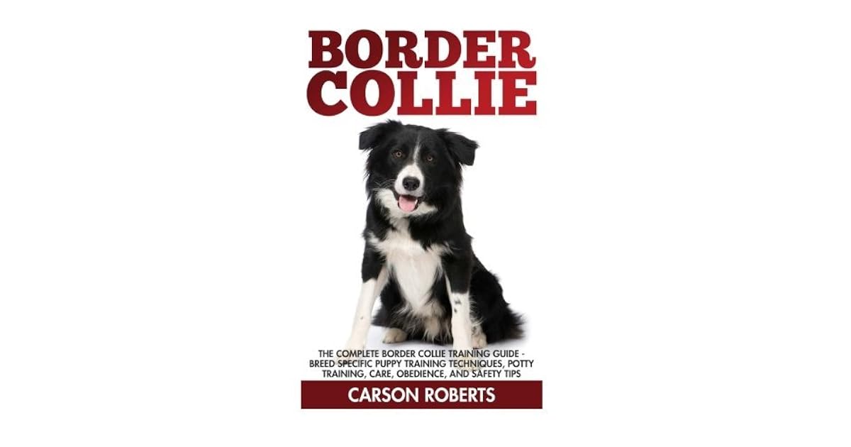 border collie potty training