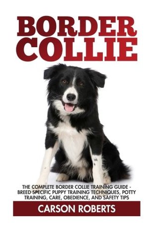 border collie potty training