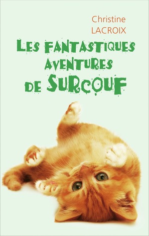 Les fantastiques aventures de Surcouf