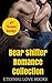Bear Shifter Collection