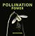 Pollination Power