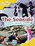 Oxford Reading Tree: Stage 5: More Fireflies: Pack A: The Seaside- Then and Now