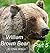 William Brown Bear Part 5 (Willaim Brown Bear)
