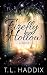 Firefly Hollow (Firefly Hollow, #1)