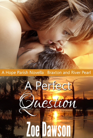 A Perfect Question (Hope Parish #3.6)