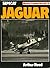 Sepecat Jaguar (Modern Combat Aircraft, #14)