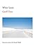 White Sands: Experiences from the Outside World