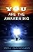 You Are the Awakening by Zen Gardner