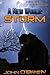 Storm (A New World, #10)