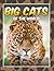 Big Cats Of The World: Children's Books and Bedtime Stories For Kids Ages 3-8 for Early Reading (Books For Kids Series)