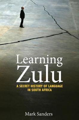 Learning Zulu: A Secret History of Language in South Africa (Translation/Transnation)