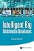 INTELLIGENT BIG MULTIMEDIA ...