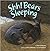 Shh! Bears Sleeping