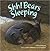 Shh! Bears Sleeping by David  Martin