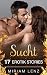 SUCHT - 17 sinnliche & tabu...
