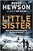 Little Sister (Pieter Vos, #3)