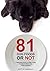 81 Dog Foods Or NOT: A Begi...