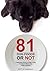 81 Dog Foods Or NOT by Scott Jay Marshall II