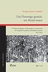 Um Flamengo grande, um Brasil maior. O clube de Regatas do Fl... by Renato Soares Coutinho