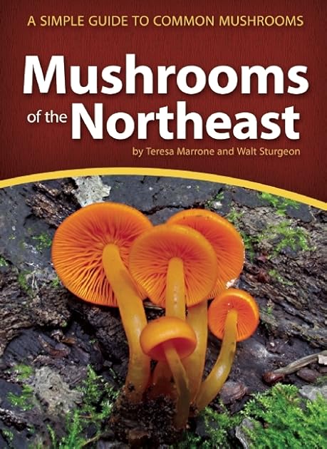 Mushrooms of the Northeast: A Simple Guide to Common Mushrooms (Mushroom Guides)