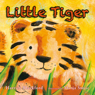 Little Tiger (Board Book)
