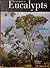 Field Guide to Eucalypts, Volume 1: South-Eastern & Southern Australia