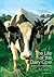 The Life of the Dairy Cow - a report on the Australian Dairy Industry