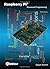 Raspberry Pi Advanced Programming