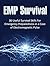 EMP Survival: 36 Useful Survival Skills For Emergency Preparedness in a Case of Electromagnetic Pulse (electromagnetic pulse protection, survival tactics, survival handbook)