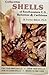 Collectible Shells of Southeastern United States, Bahamas & Caribbean