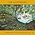 The Illustrators: The Briti...