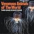 Venomous Animals of The World : Third Grade Science Series: Poisonous Animals Book for Kids (Animal Encyclopedia For Children)