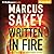 Written in Fire (Brilliance Saga, #3)
