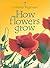 How Flowers Grow